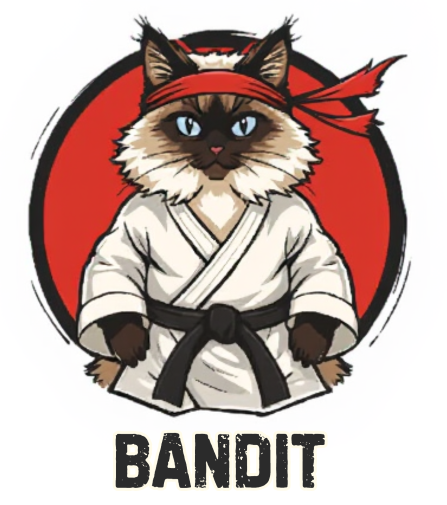 givebandit20bucks.com